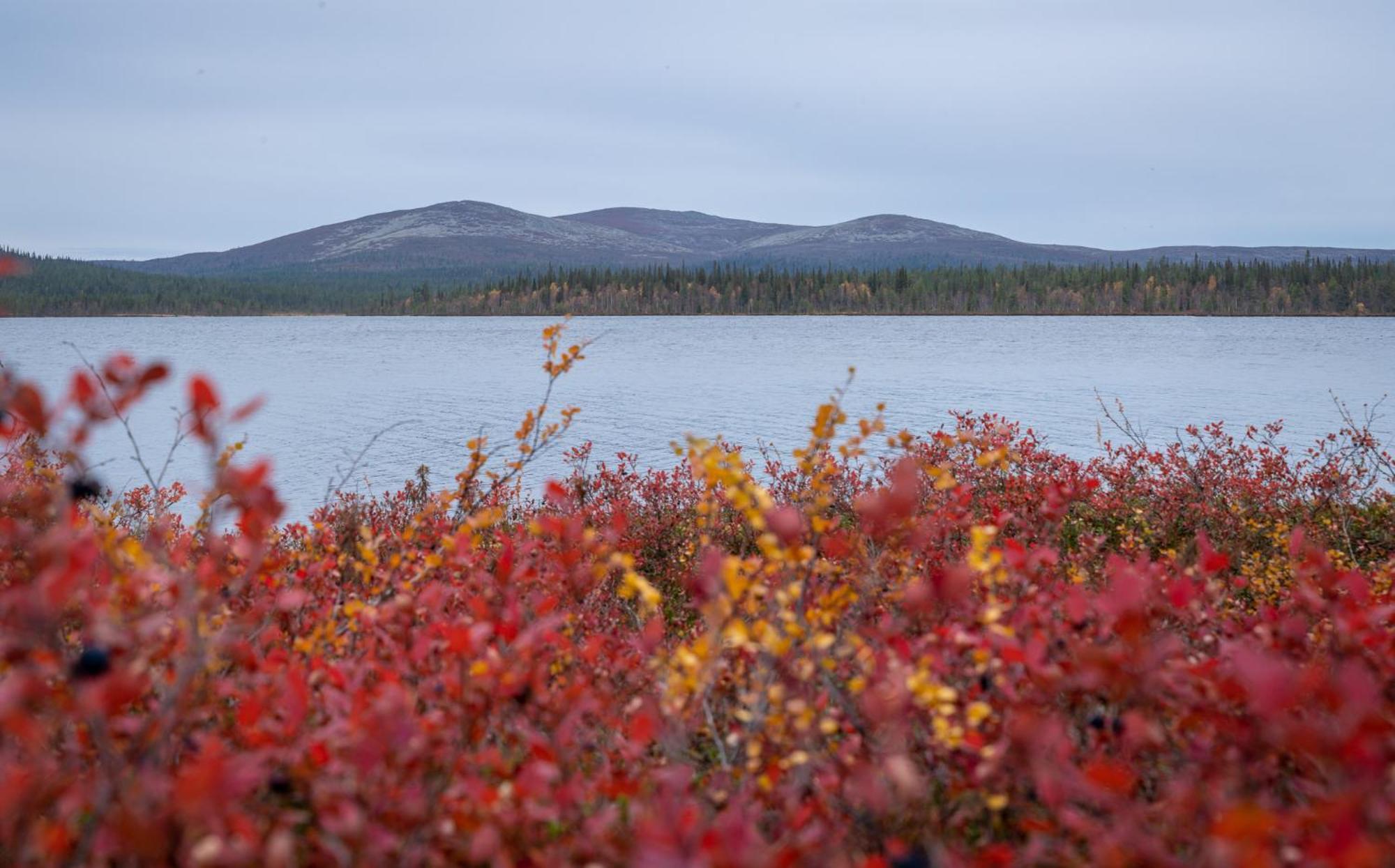 Fell Centre Kiilopaeae, Hotelli Niilanpaeae Saariselkä Zewnętrze zdjęcie