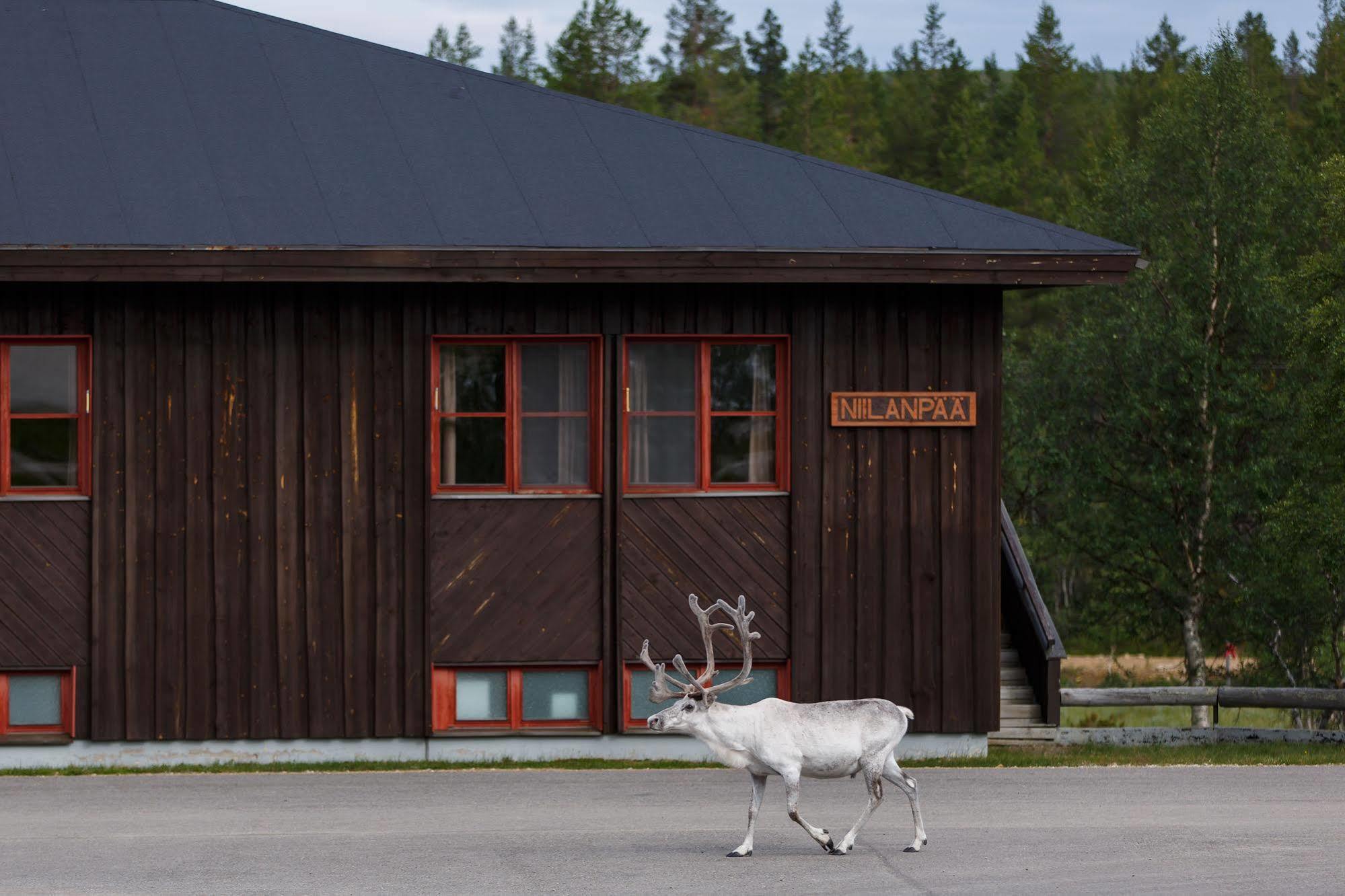 Fell Centre Kiilopaeae, Hotelli Niilanpaeae Saariselkä Zewnętrze zdjęcie